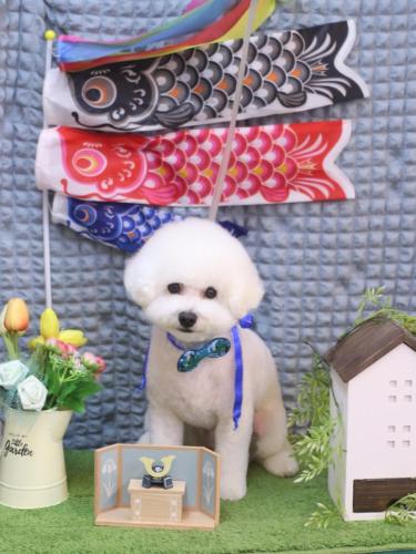 20230516りりちゃん